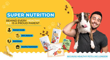 Dog Nutrition