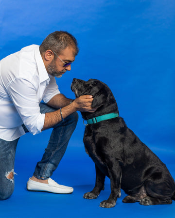 Pet dog with owner