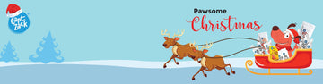 Christmas Gifts for your Doggos & Kitty’s - Captain Zack