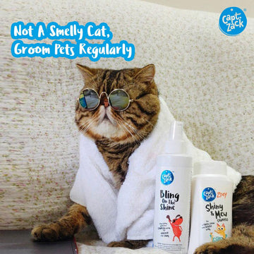 Not A Smelly Cat, Groom Pets Regularly - Captain Zack