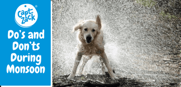 Do’s and Don’ts During Monsoon - Captain Zack