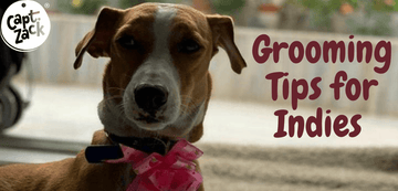 Grooming Tips for Indies - Captain Zack