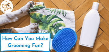 How Can You Make Grooming Fun? - Captain Zack