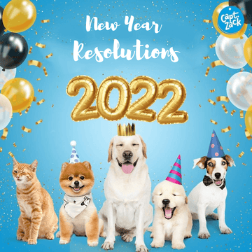 New Year Resolutions for Pet Parents - Captain Zack