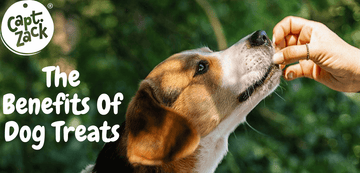 The Benefits Of Dog Treats - Captain Zack