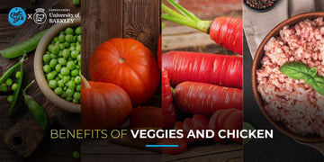 Wholesomeness of Vegetables , Paneer & Chicken - Captain Zack