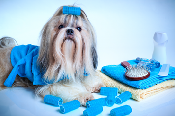 Pawsitively Fun Grooming: How to Make Spa Time a Wagging Good Time!