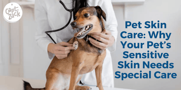 Dog testing