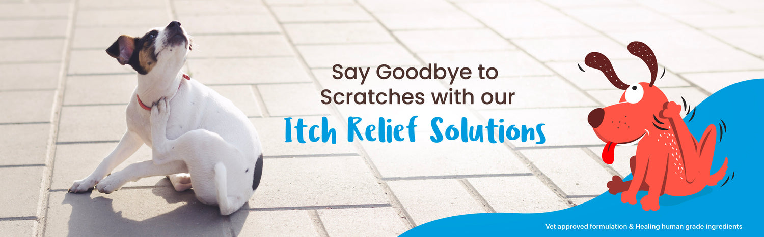 Itch Relief Solutions - Captain Zack