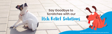 Itch Relief Solutions - Captain Zack