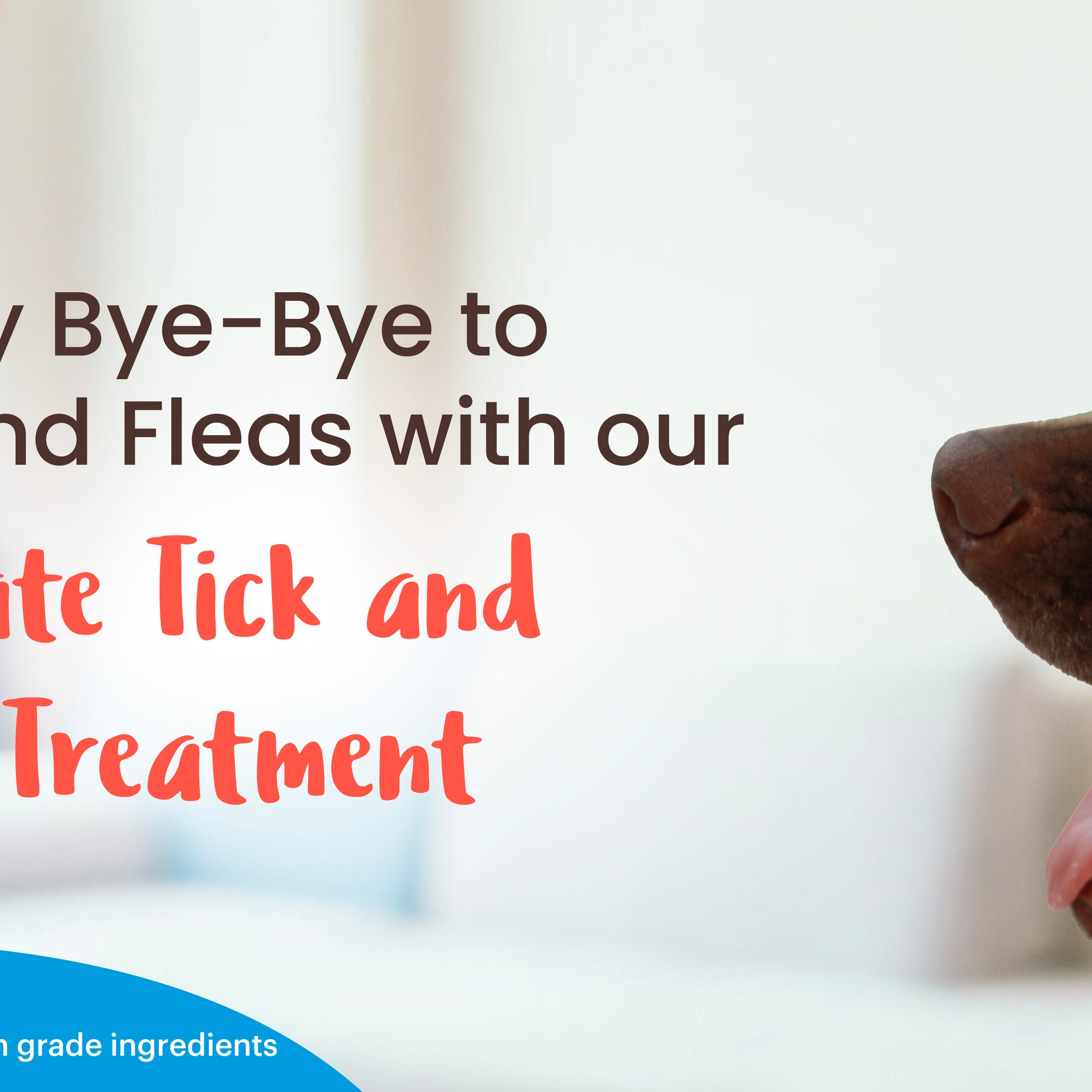 Tick and Flea Treatment for Dogs - Captain Zack