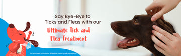Tick and Flea Treatment for Dogs - Captain Zack