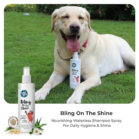 Bling On The Shine Waterless Shampoo 250ml