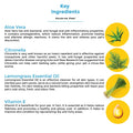 Excuse Me, Fleas! Shampoo To Repel Ticks & Fleas| Dog Tick Repellent - Captain Zack
