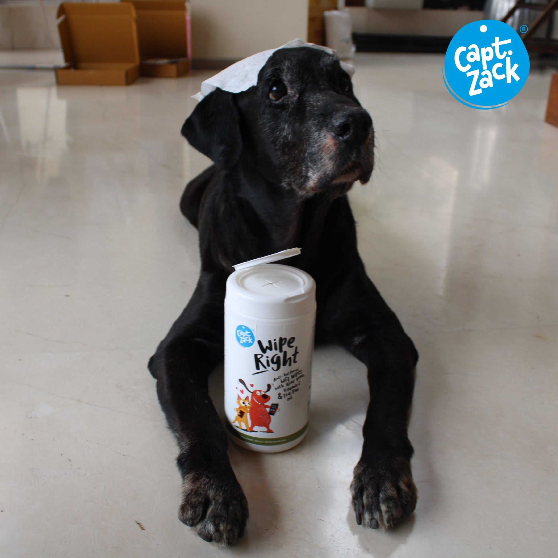 Wipe Right Anti-Bacterial Wet Wipes Pack of 2 - Captain Zack