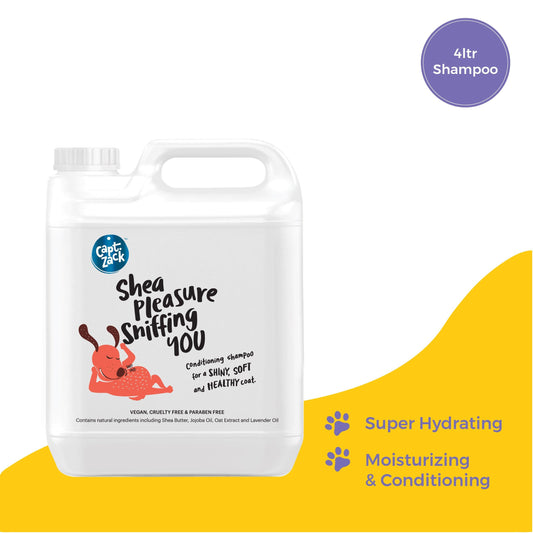 Shea Pleasure Sniffing You Shampoo,4 Litres - Captain Zack