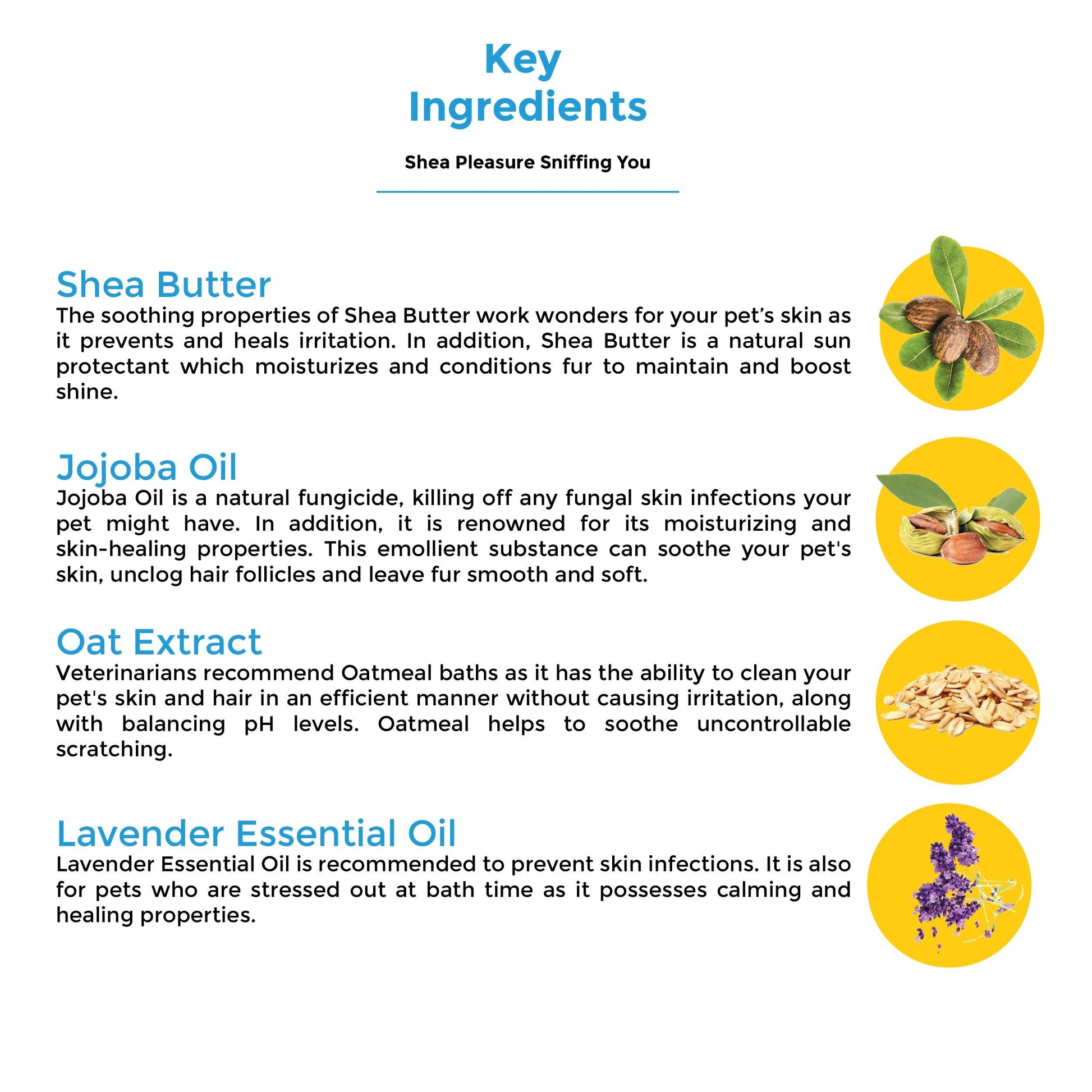 Shea Pleasure Sniffing You Shampoo 500ml - Captain Zack