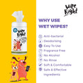 Wipe Right Anti-Bacterial Wet Wipes Pack of 2 - Captain Zack