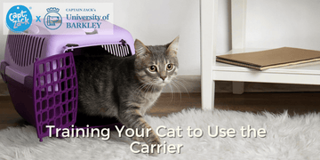 Training Your Cat to Use the Carrier - Captain Zack