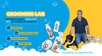 Pet Product That Will Help You Keep Your Pet Busy & Happy