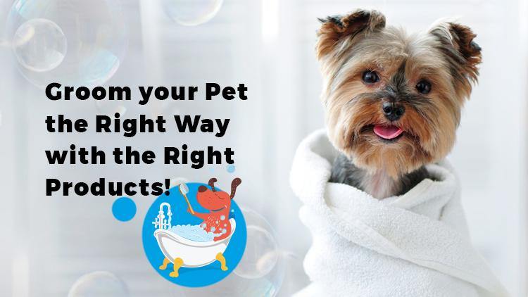 Groom Your Pet The Right Way With The Right Products! - Captain Zack