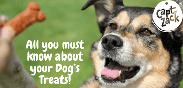All you must know about your Dog’s Treats! - Captain Zack