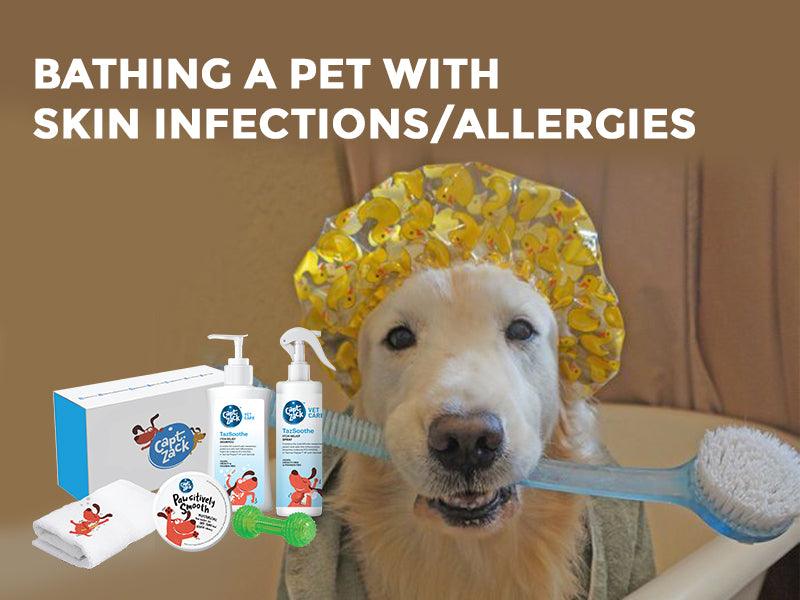 Bathing A Pet With Skin Infections/Allergies - Captain Zack