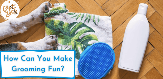 How Can You Make Grooming Fun?