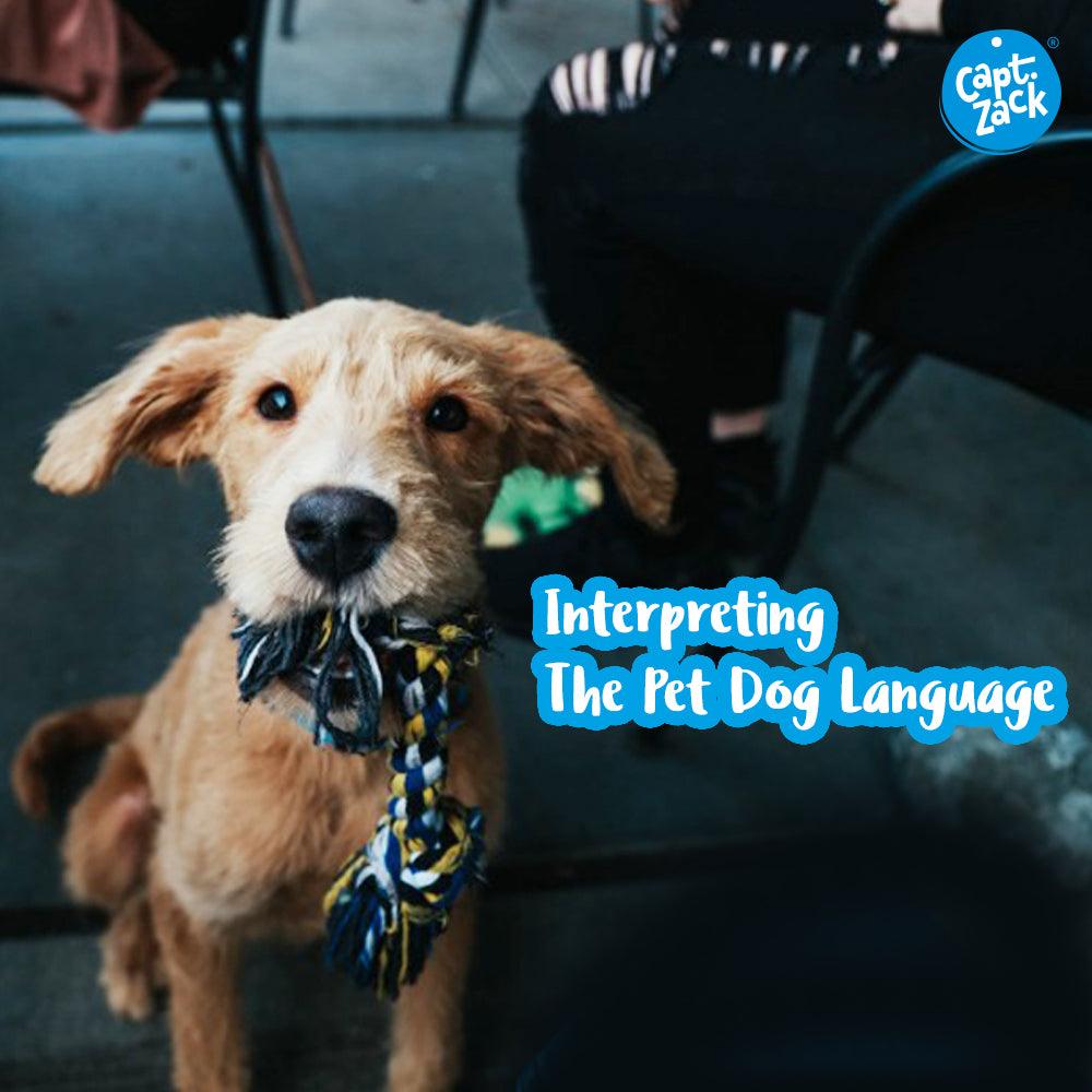 Interpreting The Pet Dog Language - Captain Zack