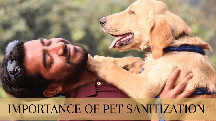 Importance of Pet Sanitization - Captain Zack