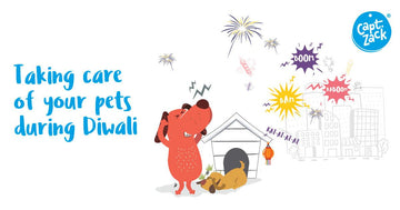 Taking Care Of Your Pets During Diwali!