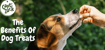 The Benefits Of Dog Treats