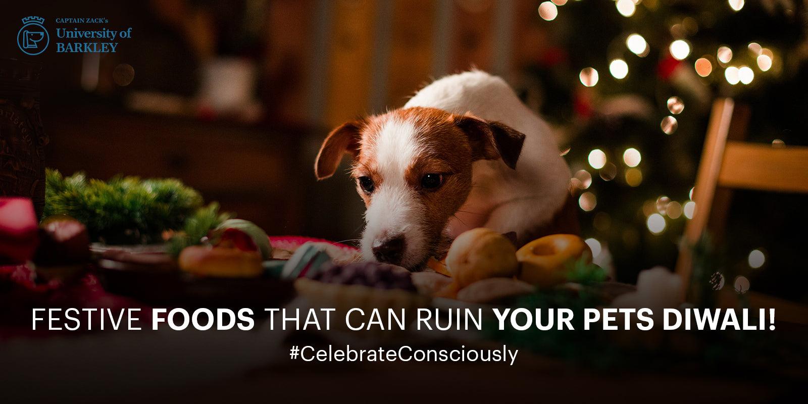 Festive Foods That Can Ruin Your Pets Diwali!
