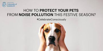 How To Protect Strays From Noise Pollution This Festive Season