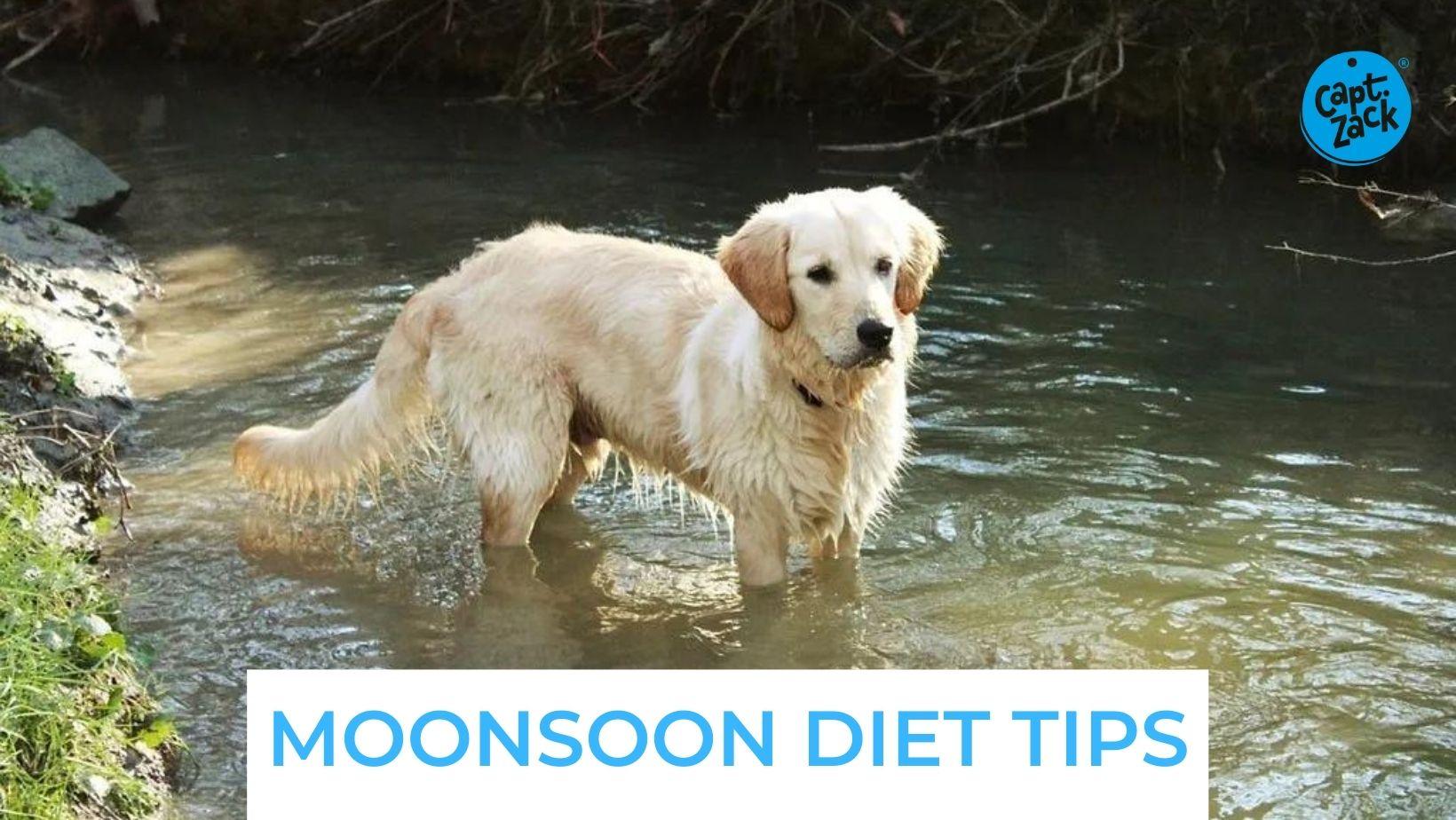 Monsoon Diet Tips - Captain Zack