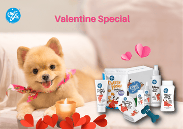 Ways To Make Your Pet's Valentine's Special Like Never Before With Captain Zack Products