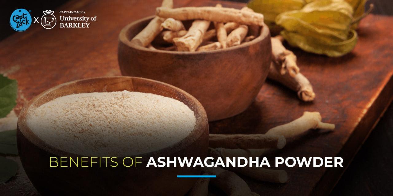 Benefits Of Ashwagandha For Dogs - Captain Zack