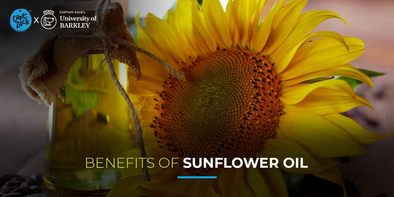 Benefits of Sunflower Oil For Dogs - Captain Zack