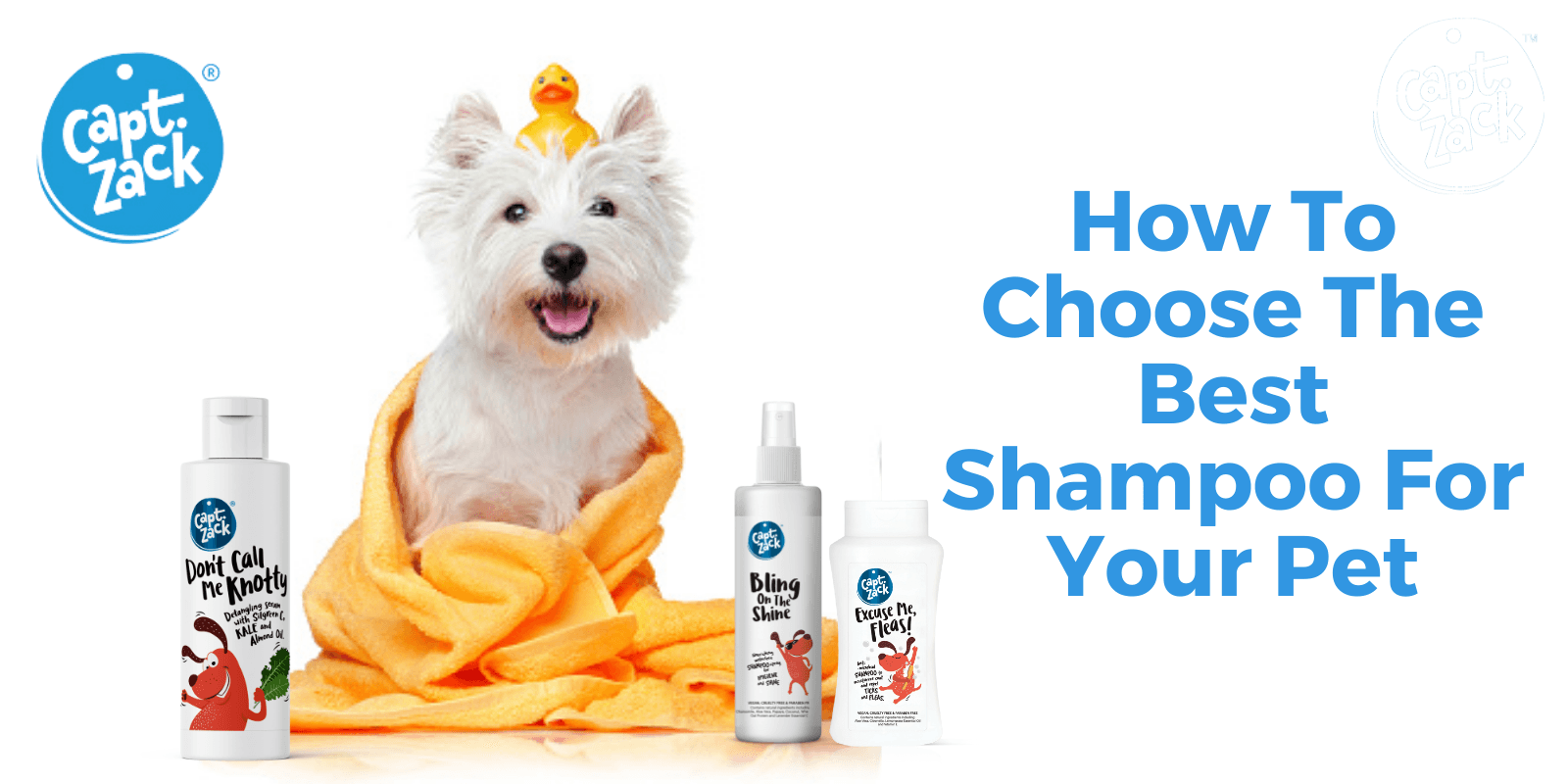 How To Choose The Best Shampoo For Your Pet