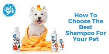 How To Choose The Best Shampoo For Your Pet - Captain Zack