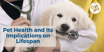 Pet Health and Its Implications on Lifespan - Captain Zack