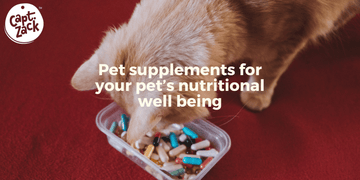 Pet supplements for your pet’s nutritional well being - Captain Zack
