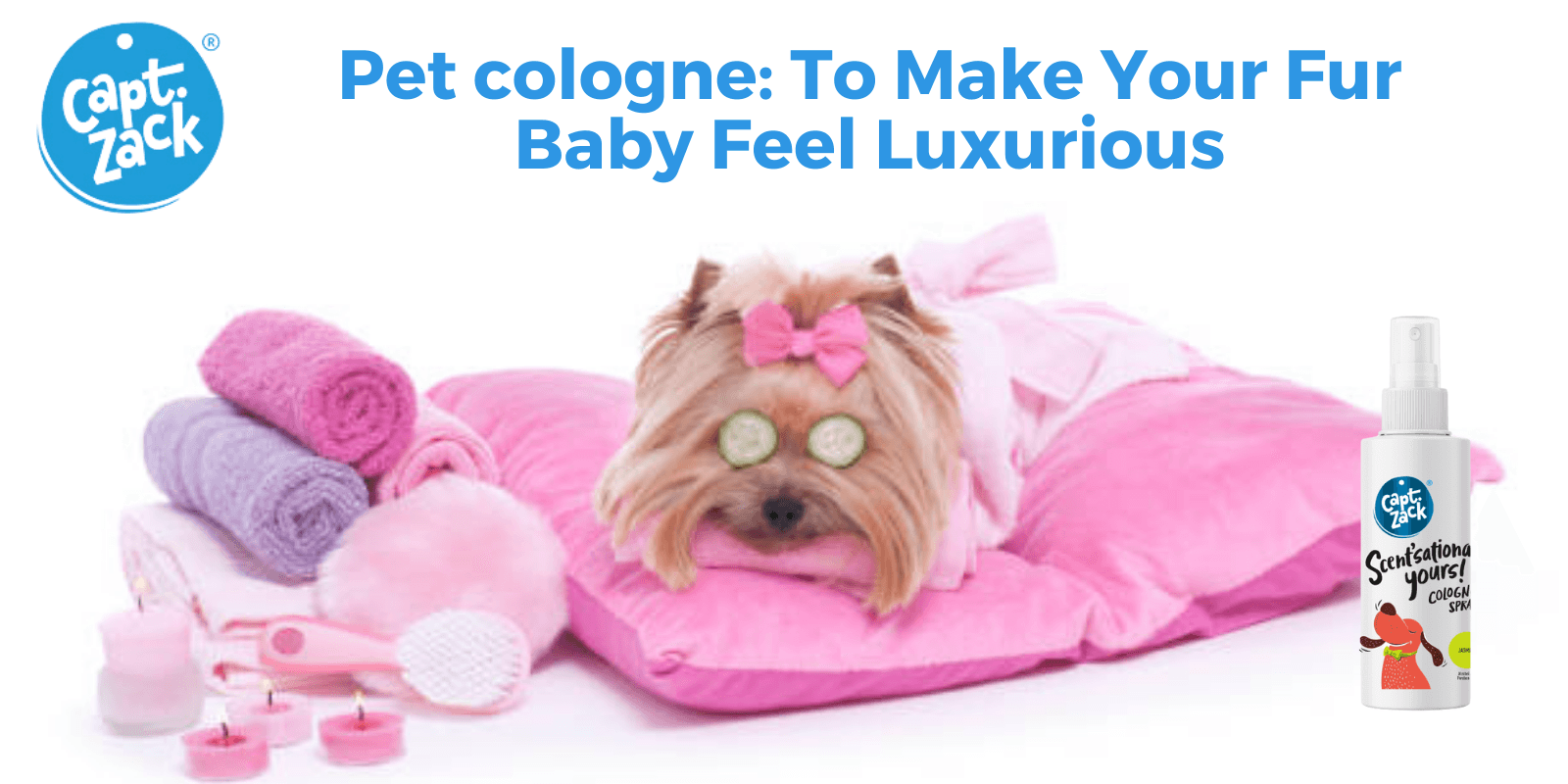 Pet cologne: To Make Your Fur Baby Feel Luxurious - Captain Zack