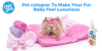 Pet cologne: To Make Your Fur Baby Feel Luxurious