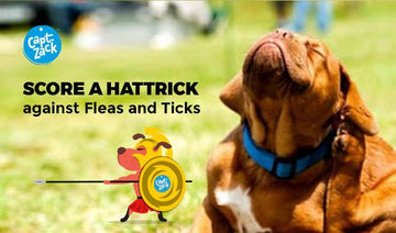 Score A Hattrick Against Fleas And Ticks! - Captain Zack