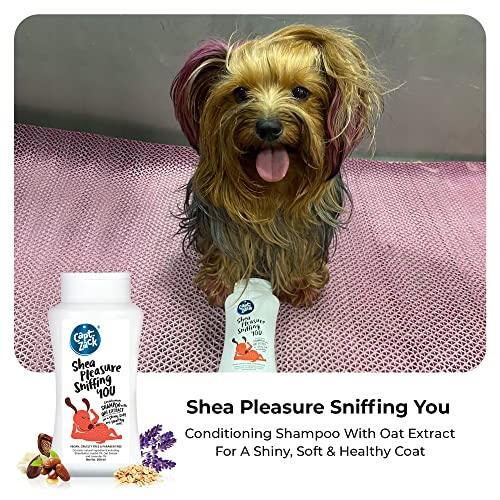 Shea Pleasure Sniffing You Moisturizing Oatmeal Dog Shampoo | 200ml (Pack of 4) - Captain Zack