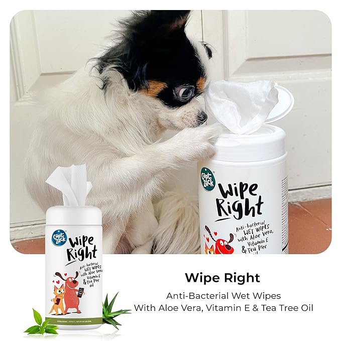 Wipe Right Anti-Bacterial Wet Wipes For Dogs & Cats