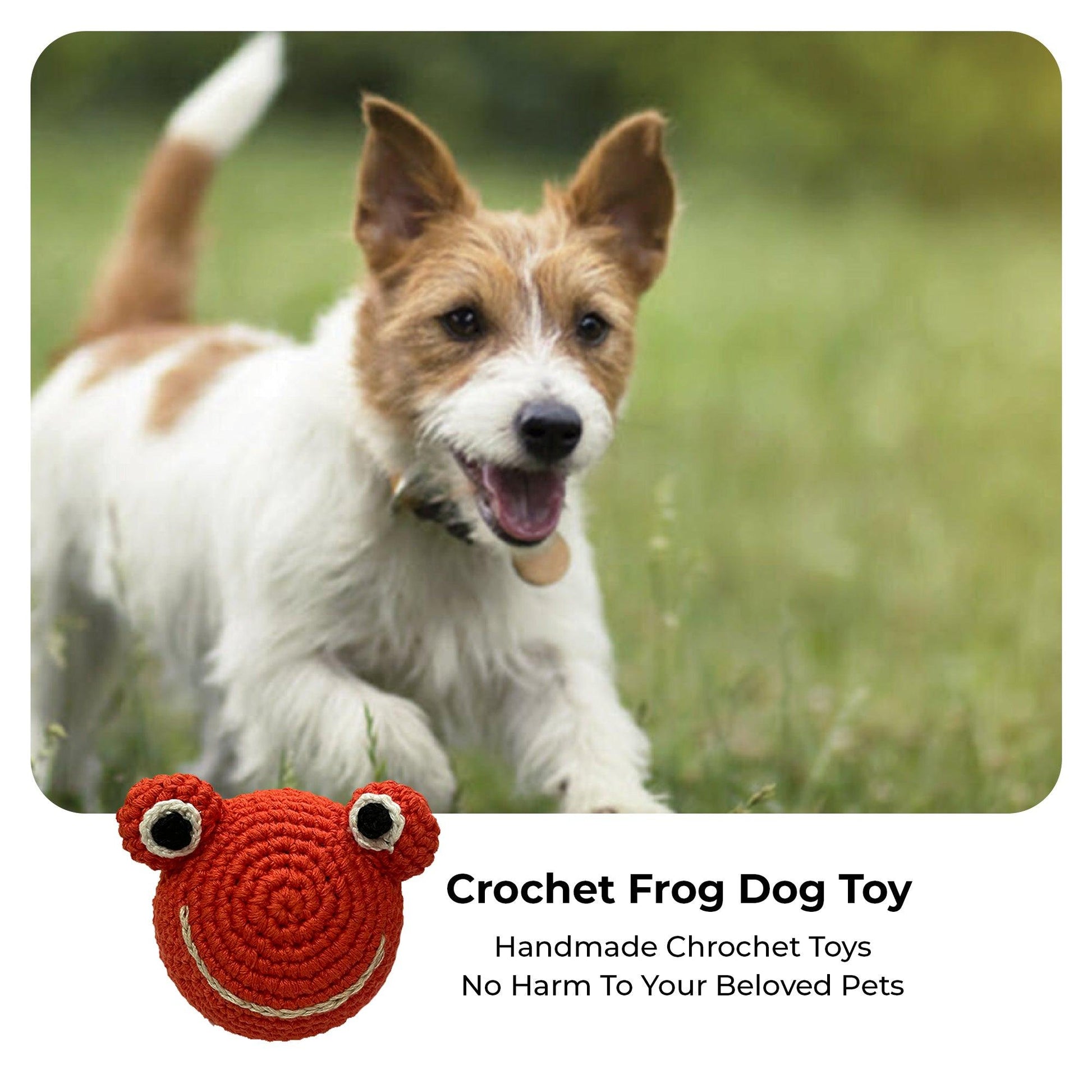 Crochet Frog Dog Toy - Captain Zack