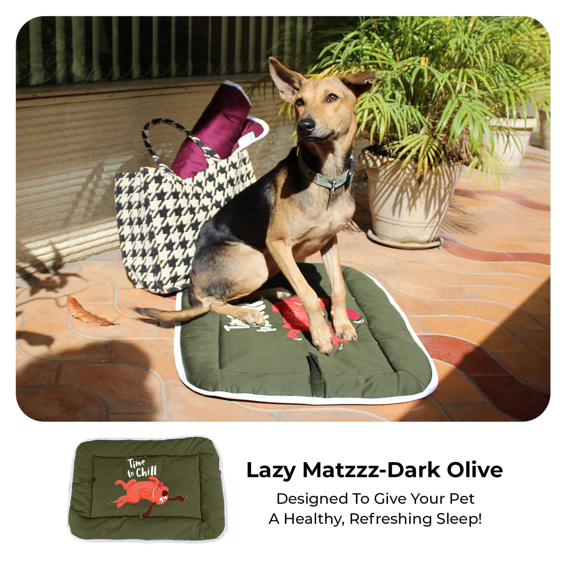 Lazy Matzzz- Dark Olive - Small to Medium Size - Captain Zack