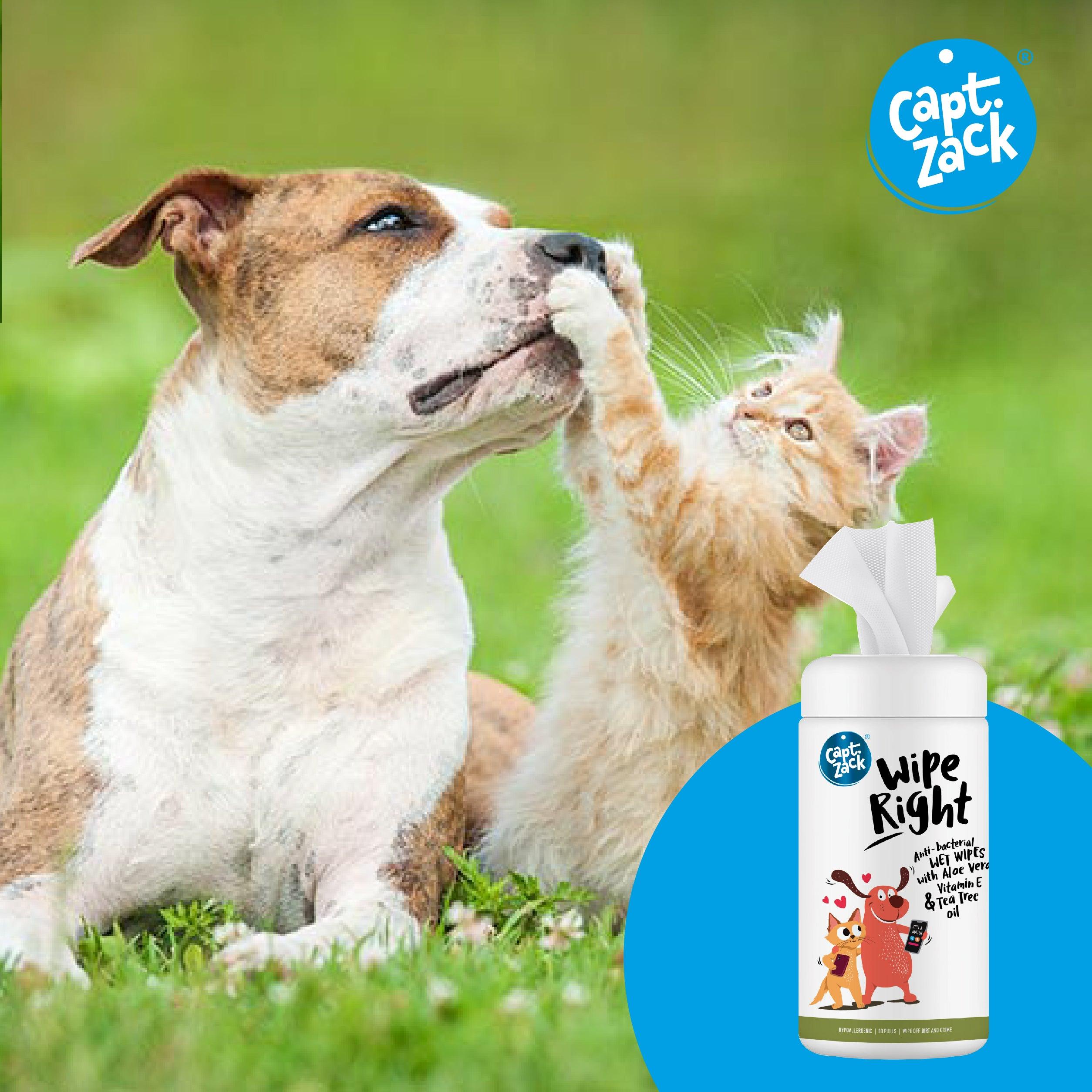 Wipe Right Anti-Bacterial Wet Wipes For Dogs & Cats - Captain Zack